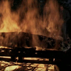 Everybodylovesaclown_051.jpg