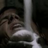 5.02 “Good God Y’All” Screen Caps Are Up!