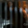 The_devil_you_know_052.jpg