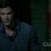 Live_free_or_twi-hard_598.jpg