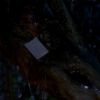 Party_on__Garth_034.jpg